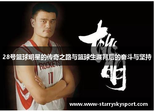 28号篮球明星的传奇之路与篮球生涯背后的奋斗与坚持